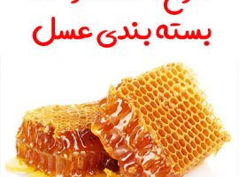 طرح احداث واحد بسته بندی عسل