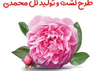طرح کشت و تولید گل محمدی